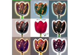 iHolland - Tulips / Tulpen NFT