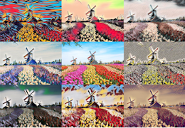 iHolland - windmills & flowers / windmolens en bloemenvelden NFT