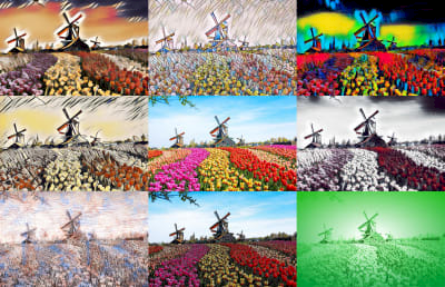 iHolland - windmills & flowers / windmolens en bloemenvelden NFT