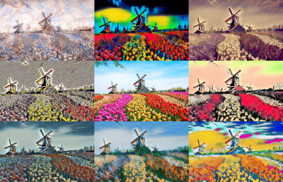 iHolland - windmills & flowers / windmolens en bloemenvelden NFT